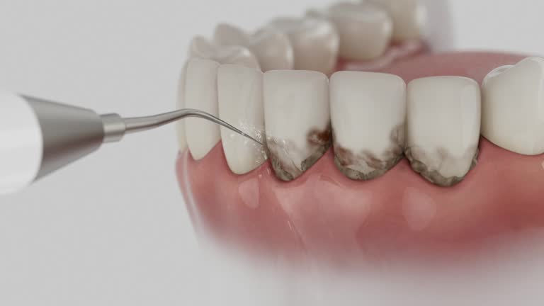 Reliable Dental contractor in La Grange, TX by Dentist Open Now